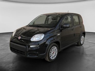 FIAT Panda III 2021 - Panda 1.0 firefly hybrid s&s 70cv 5p.ti