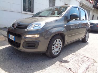 Fiat Panda 1.0 FireFly S&S Hybrid PREZZO REALE