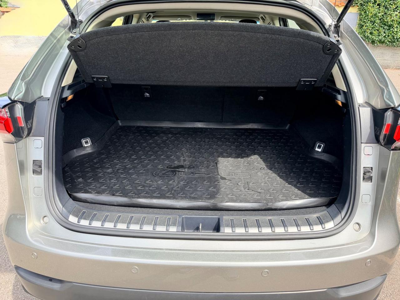 Lexus NX 300h Executive NX 300h HEV #11618