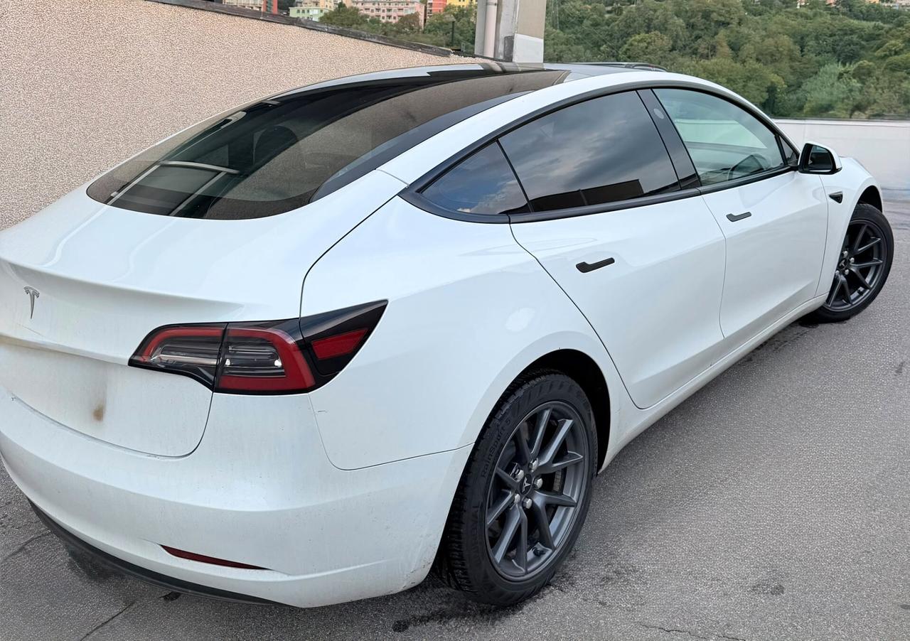 Tesla Model 3 RWD