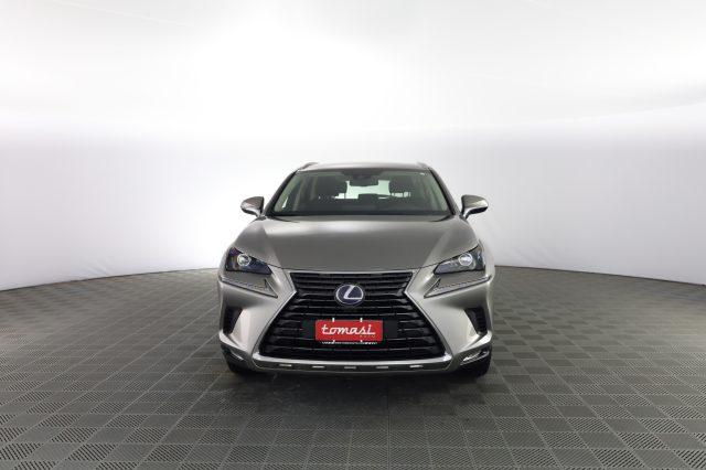 LEXUS Other NX NX Hybrid Business
