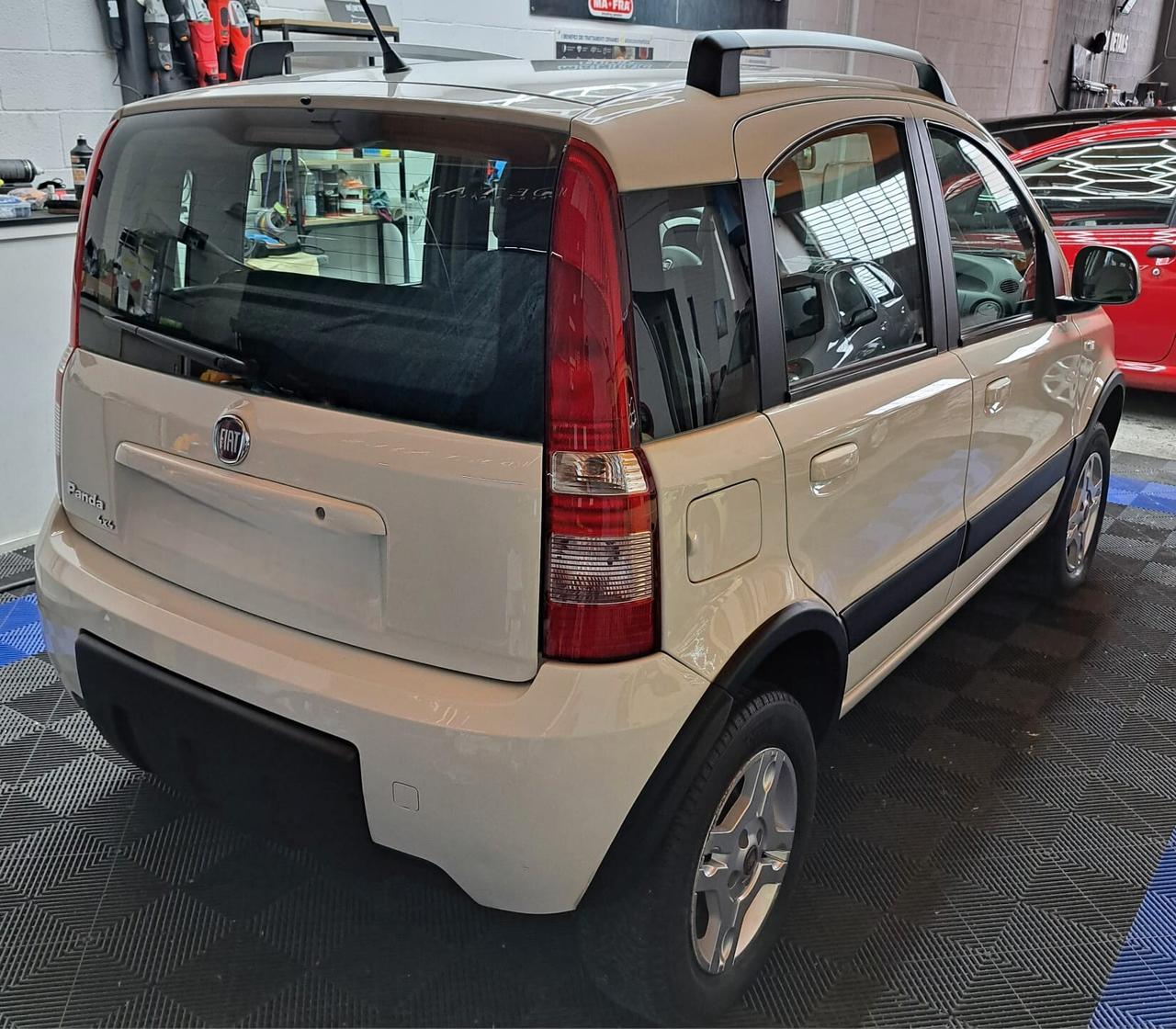 Fiat Panda 1.3 MJT 16V DPF 4x4 Climbing