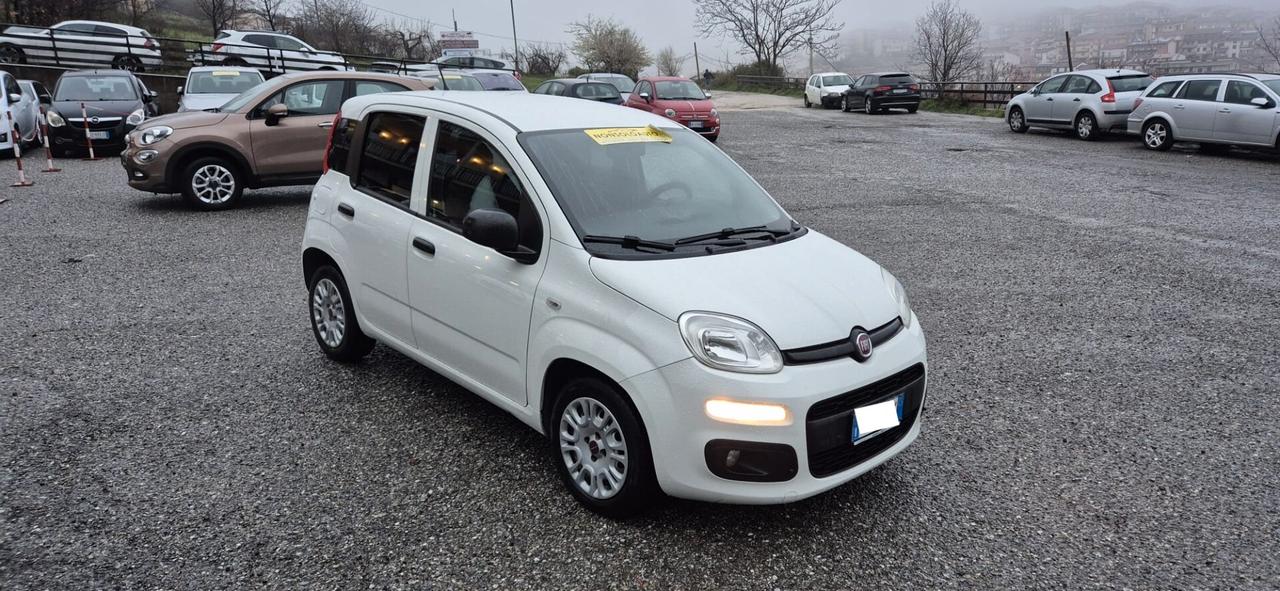 Fiat PANDA VAN 1.3 MJT 80CV - 10/2016 - Euro6