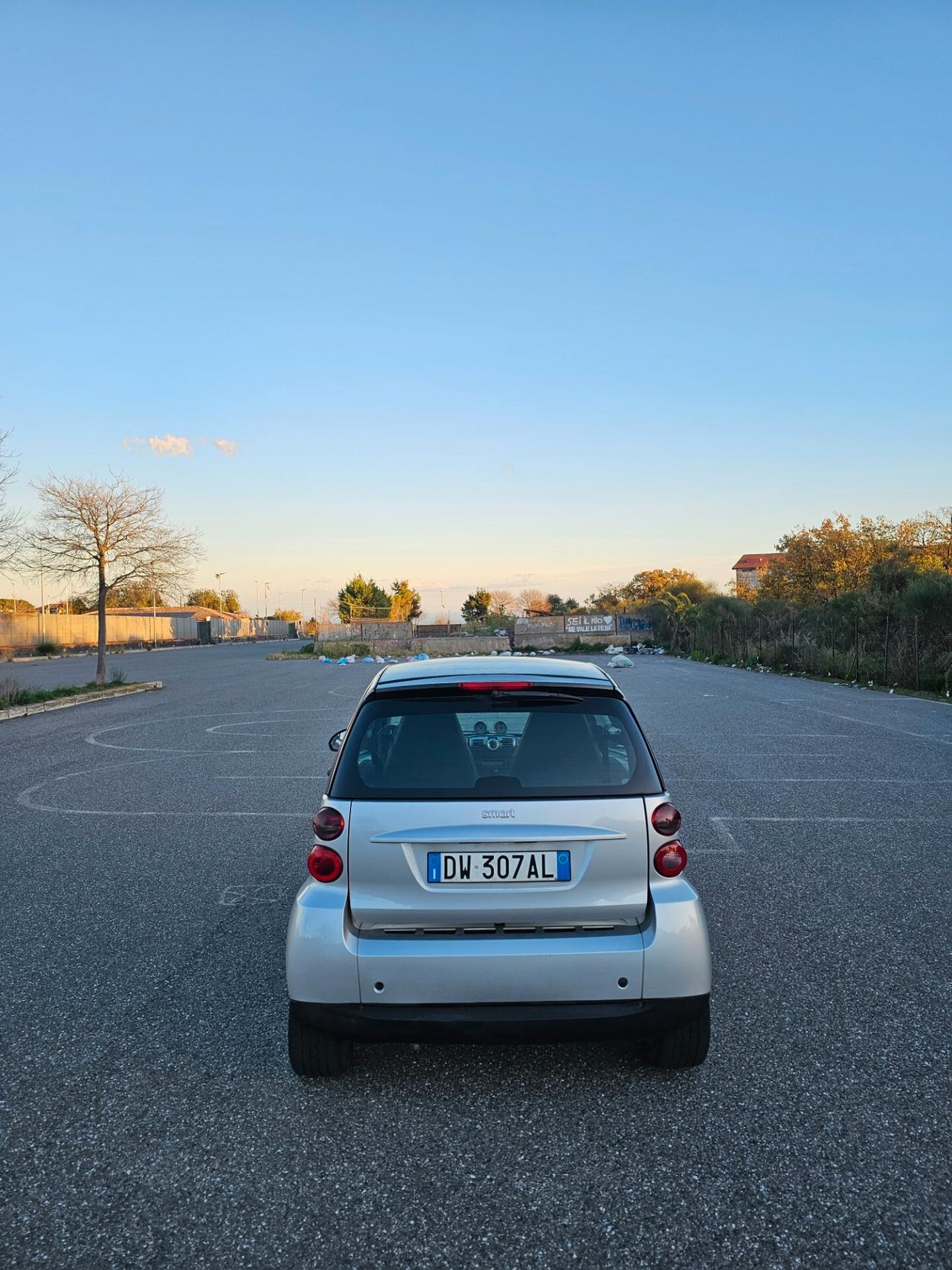 Smart ForTwo 800 diesel 45 cv palette al volante