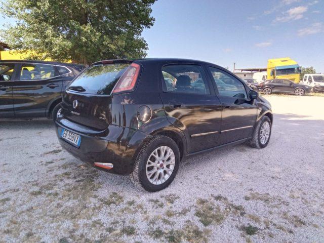 FIAT Punto Evo 1.3 Mjt 75 CV 5 porte Active PER NEOPATENTATI