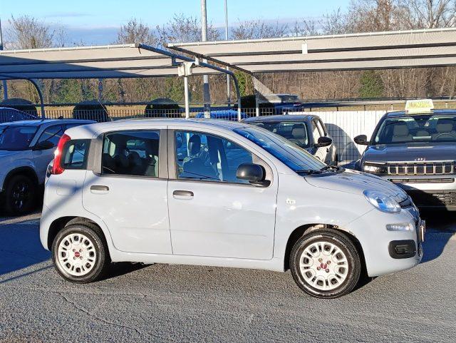 FIAT Panda 1.0 S&S Hybrid Pop 5 Posti