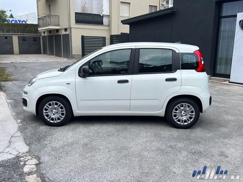 FIAT Pandina 1.0 65cv Hybrid ICON