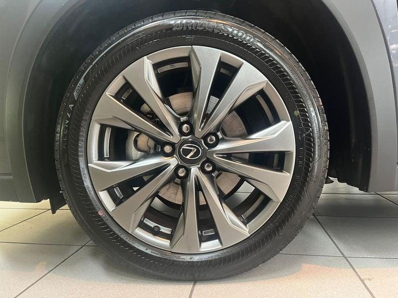 Lexus UX UX 300h F-Sport