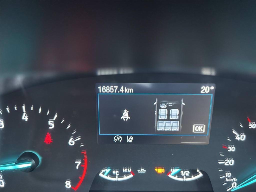 FORD Fiesta Active 1.0 ecoboost h 125cv del 2022