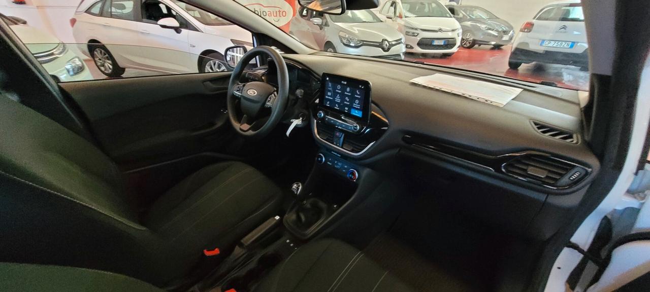 Ford Fiesta 1.5 EcoBlue 5 porte Business