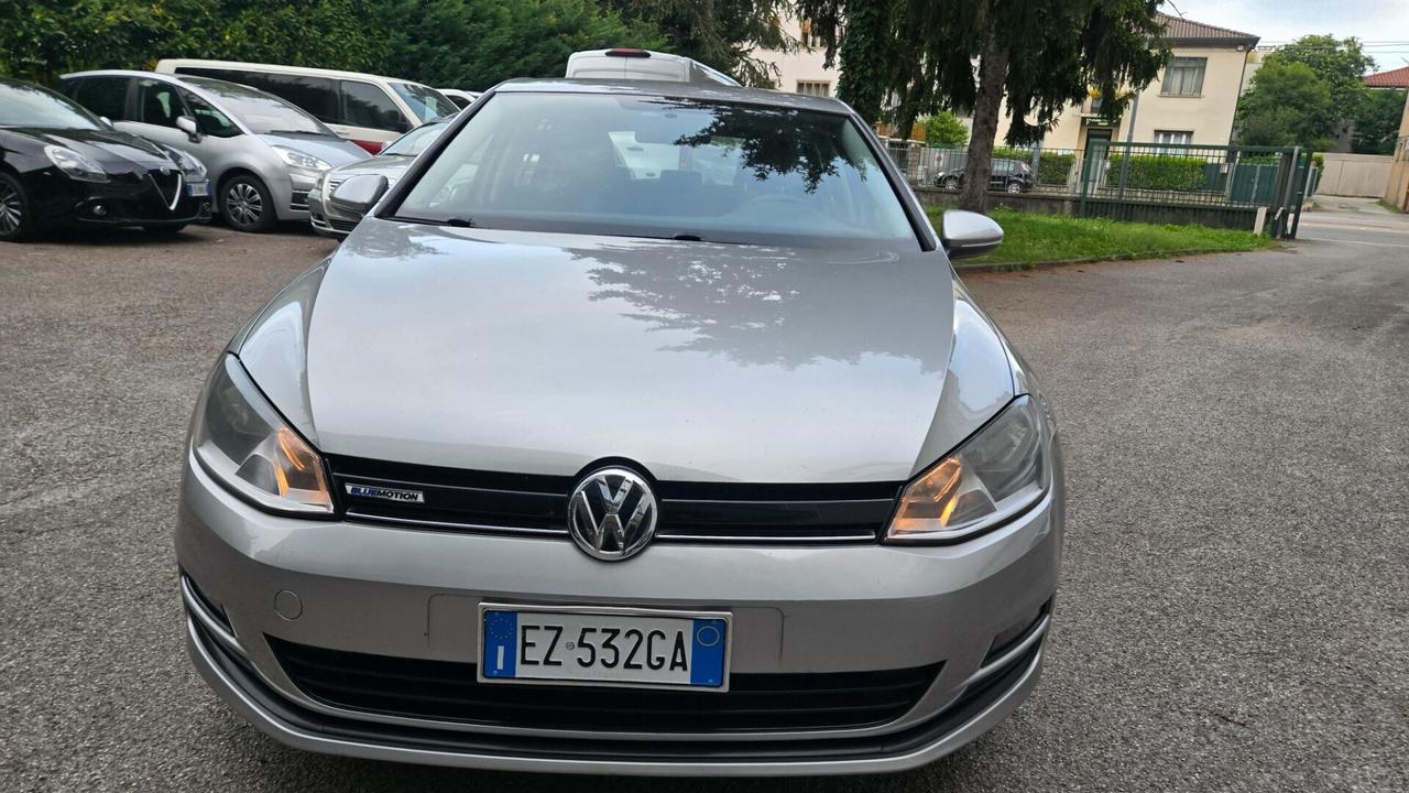 Volkswagen Golf Business 1.4 TGI 5p. BlueMotion ME