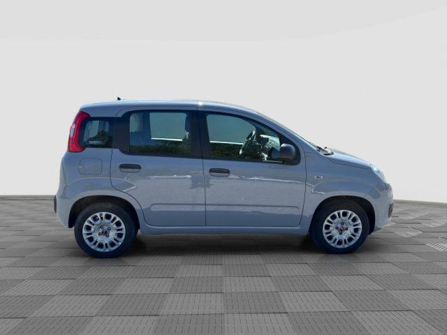 FIAT Panda Panda 1.0 FireFly Hybrid