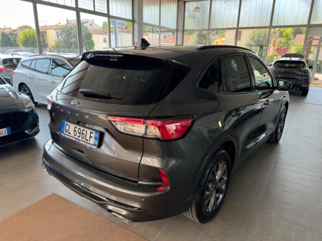 FORD Kuga 1.5 EcoBlue 120 CV AUT 2WD ST-Line