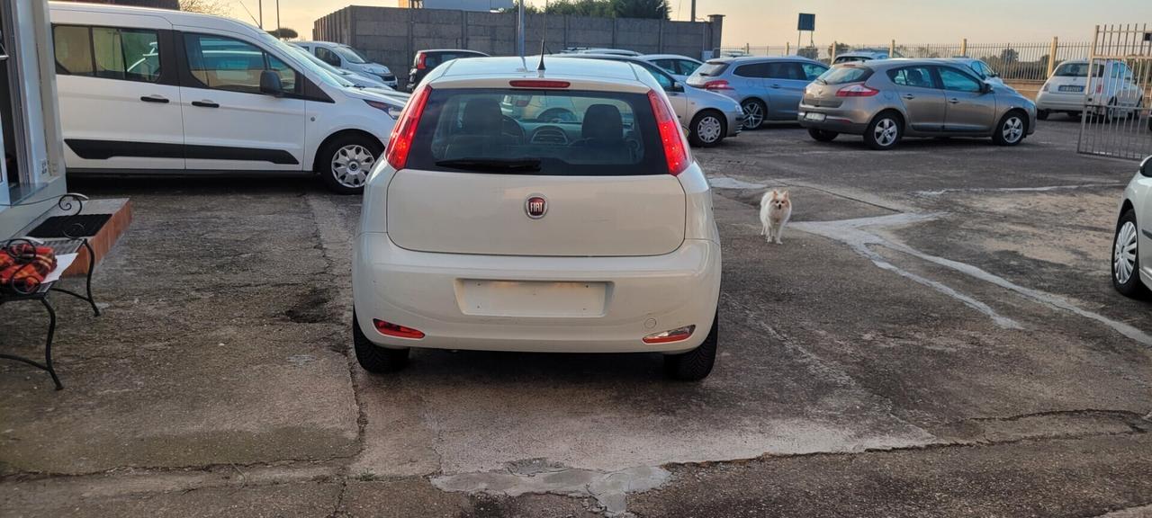 Neopatentata Fiat Punto 1.2 8V 5 porte Street Unico proprietario