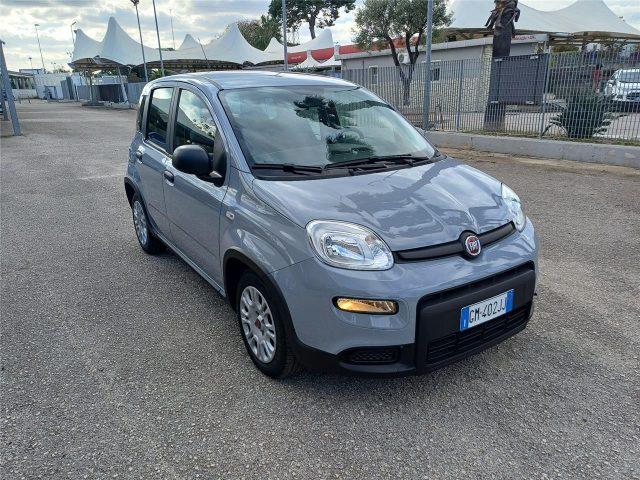 FIAT Panda 3ª serie 1.0 FireFly S&S Hybrid City Life