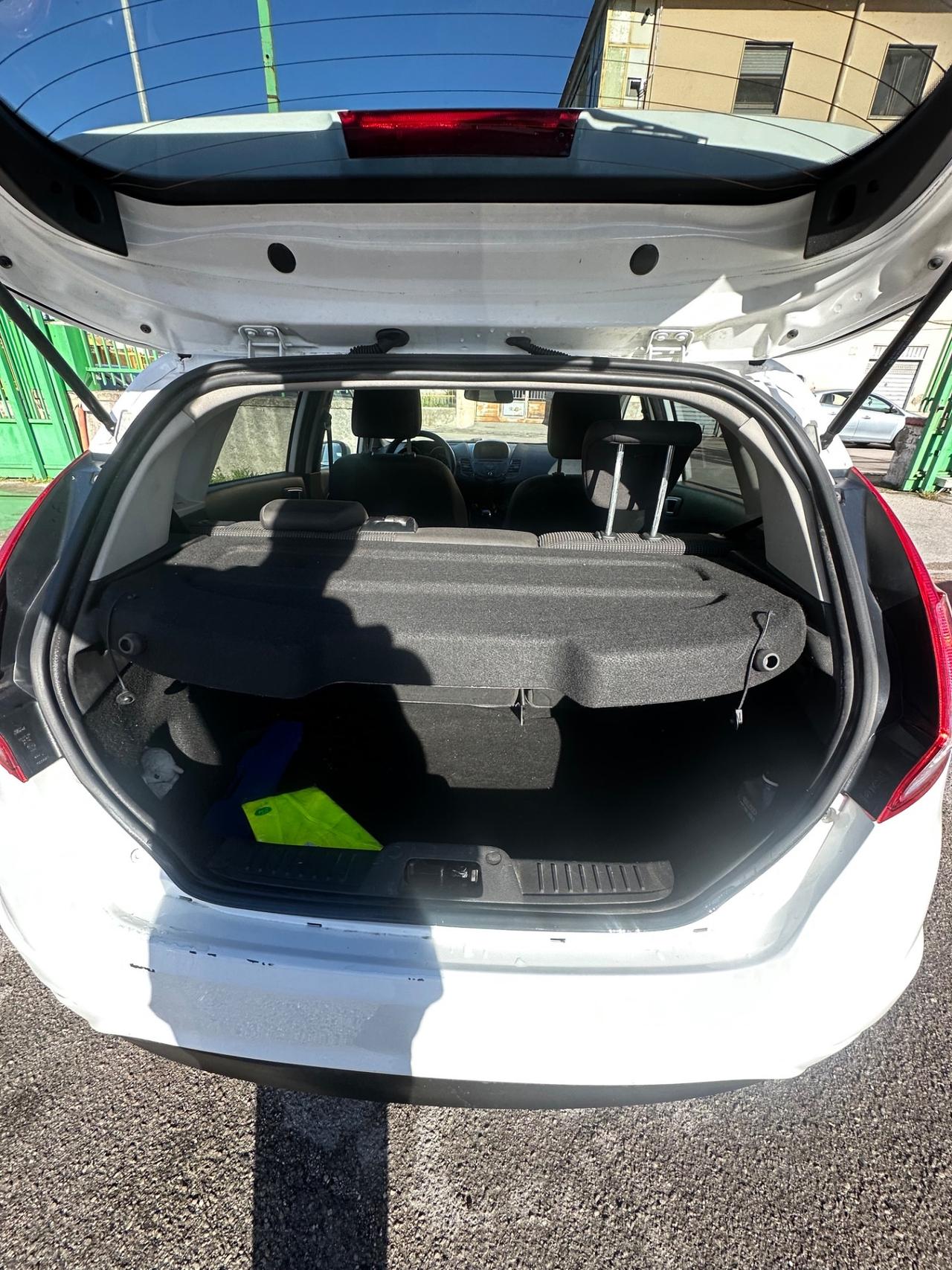 Ford Fiesta 1.2 60CV 5 porte Black & White Edition