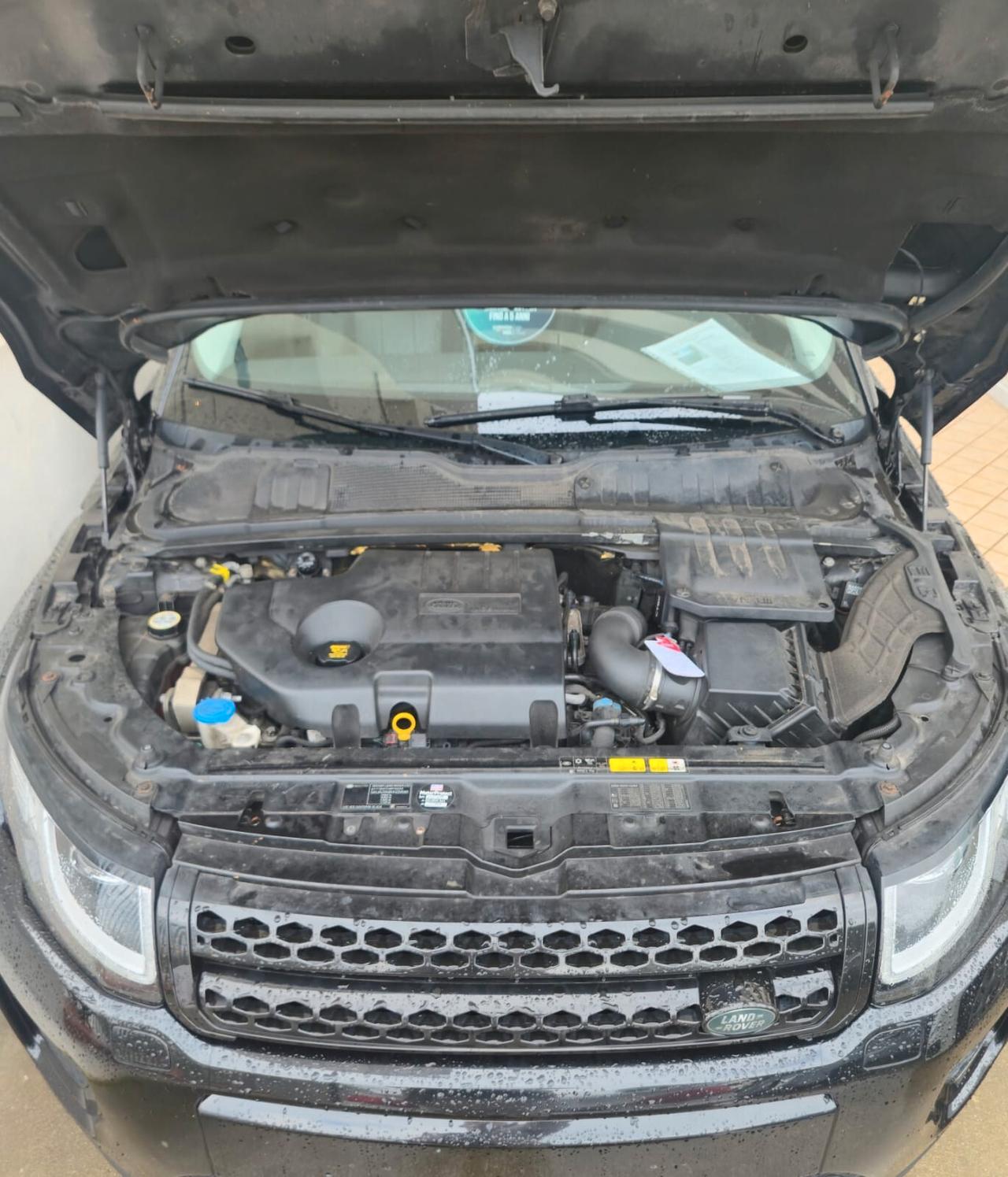 Land Rover Range Evoque 2.0 TD4 180 CV 5p. SE Dynamic