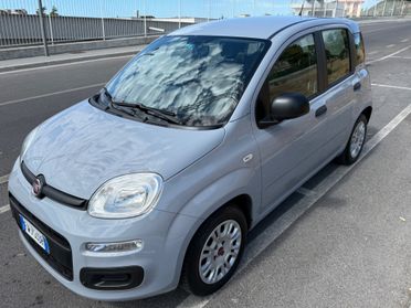 Fiat Panda 1.2 Easy - FINANZIABILE SENZA ANTICIPO -
