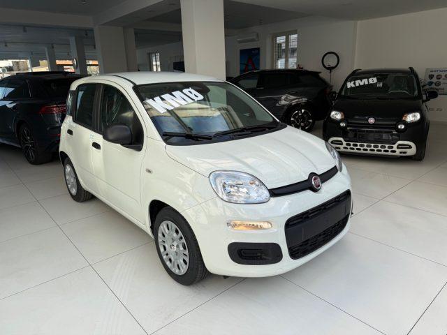 FIAT Panda 1.0 FireFly S&S Hybrid Pop da ?139,00 mensili
