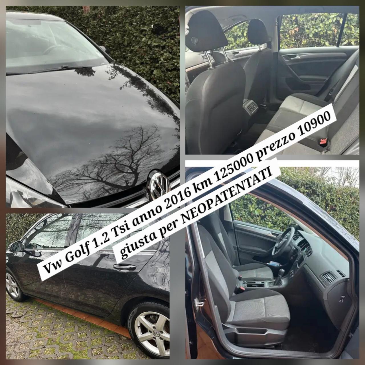 Volkswagen Golf 1.2 TSI 85 CV 5p. Trendline in ARRIVO tua a 199 mese