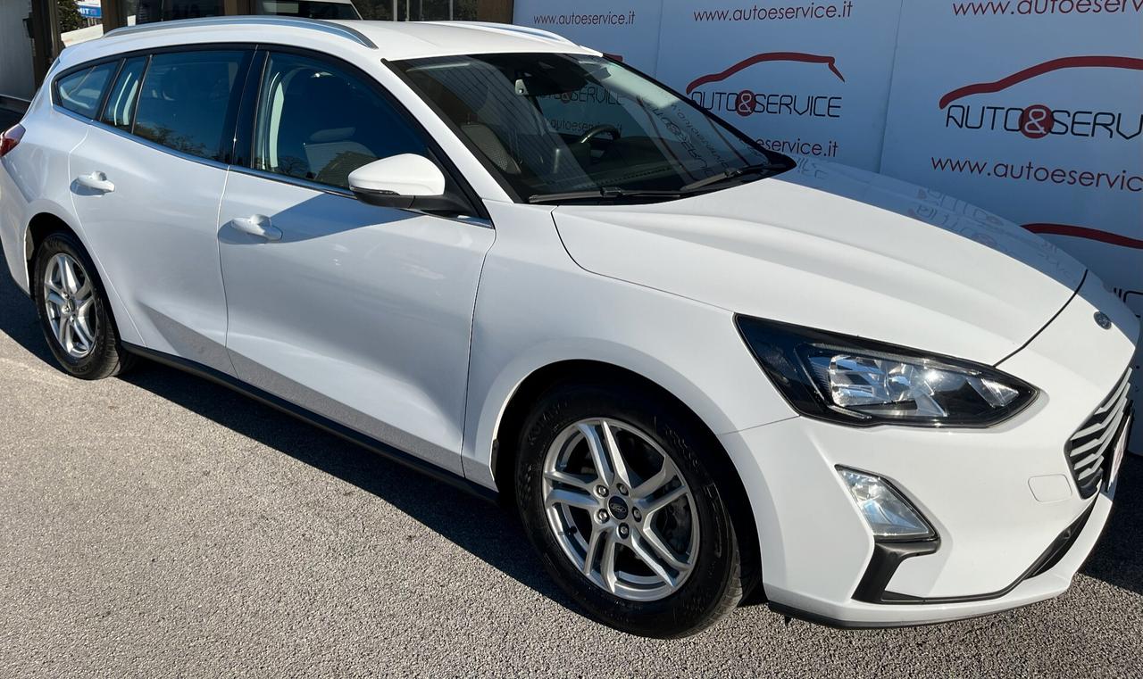 Ford Focus 1.5 EcoBlue 120 CV automatico SW Business Co-Pilot