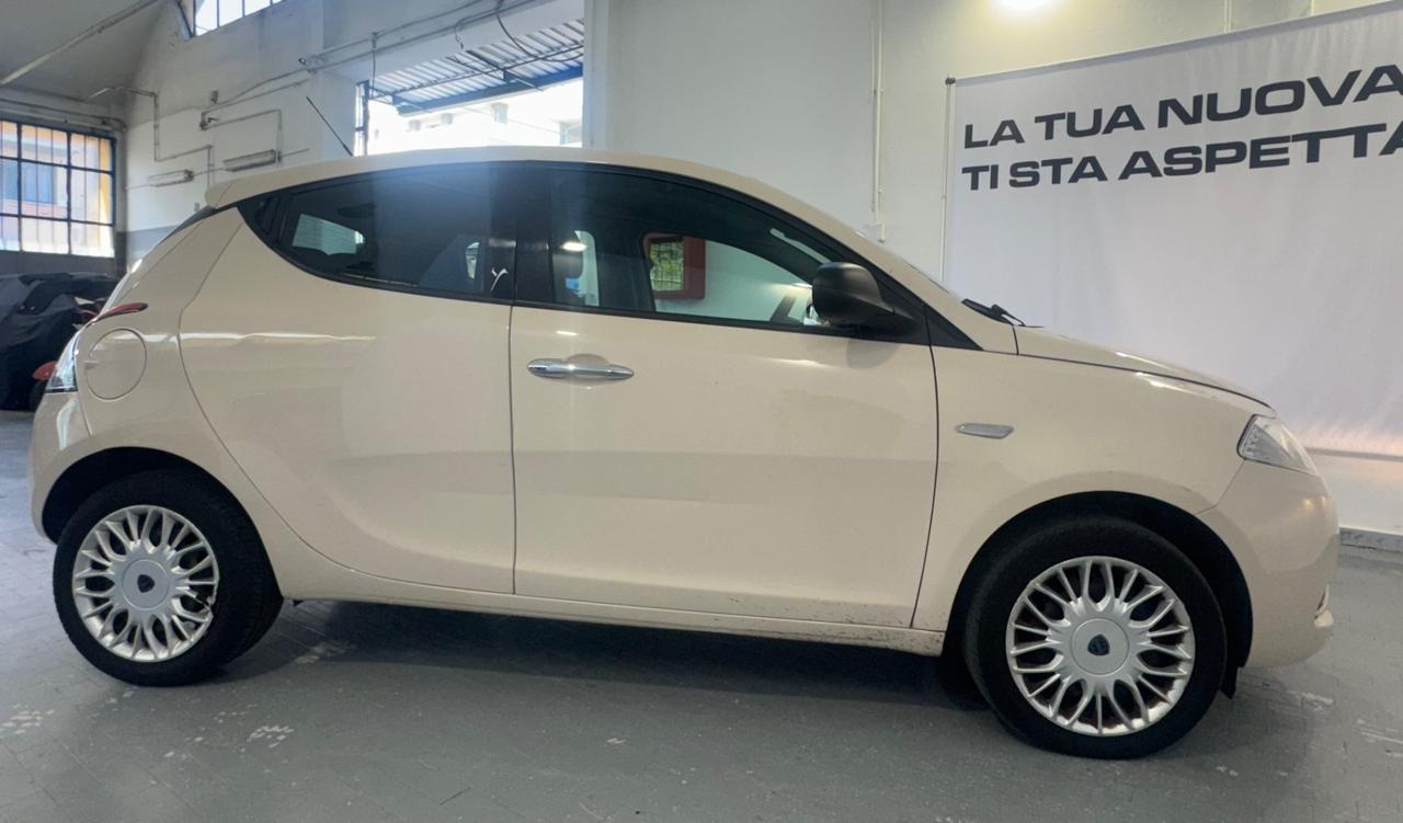 Lancia Ypsilon 1.2 69 CV 5 porte Opening Edition