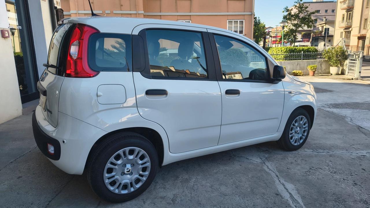Fiat Panda 1.0 FireFly S&S Hybrid Pandina