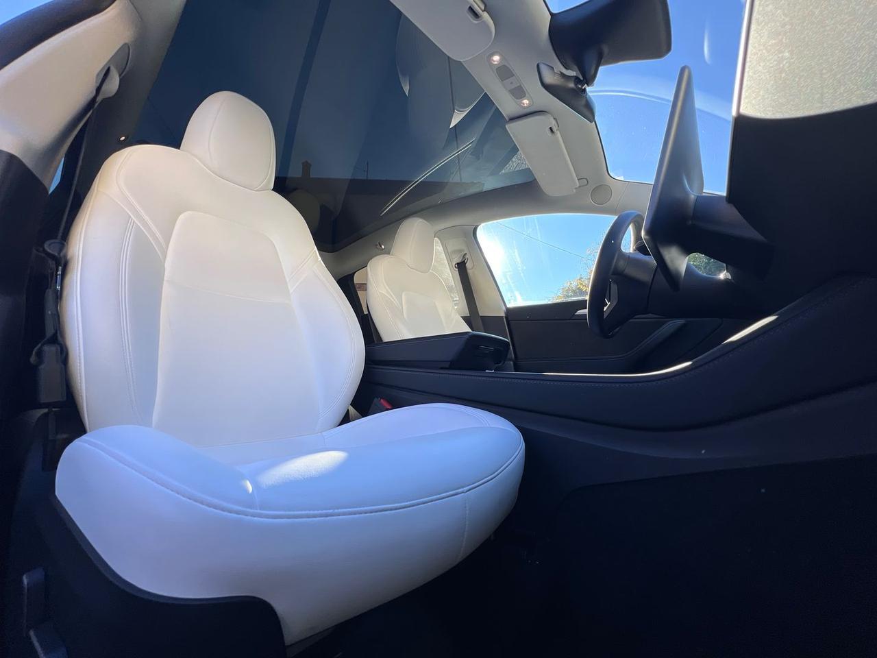 Tesla Model Y Performance #8327