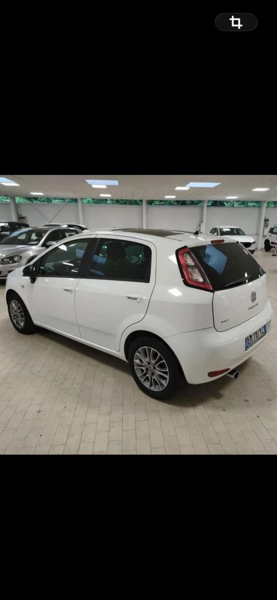 Fiat Punto 1.3 MJT II S&S 95 CV 5 porte NEOPATENTATI