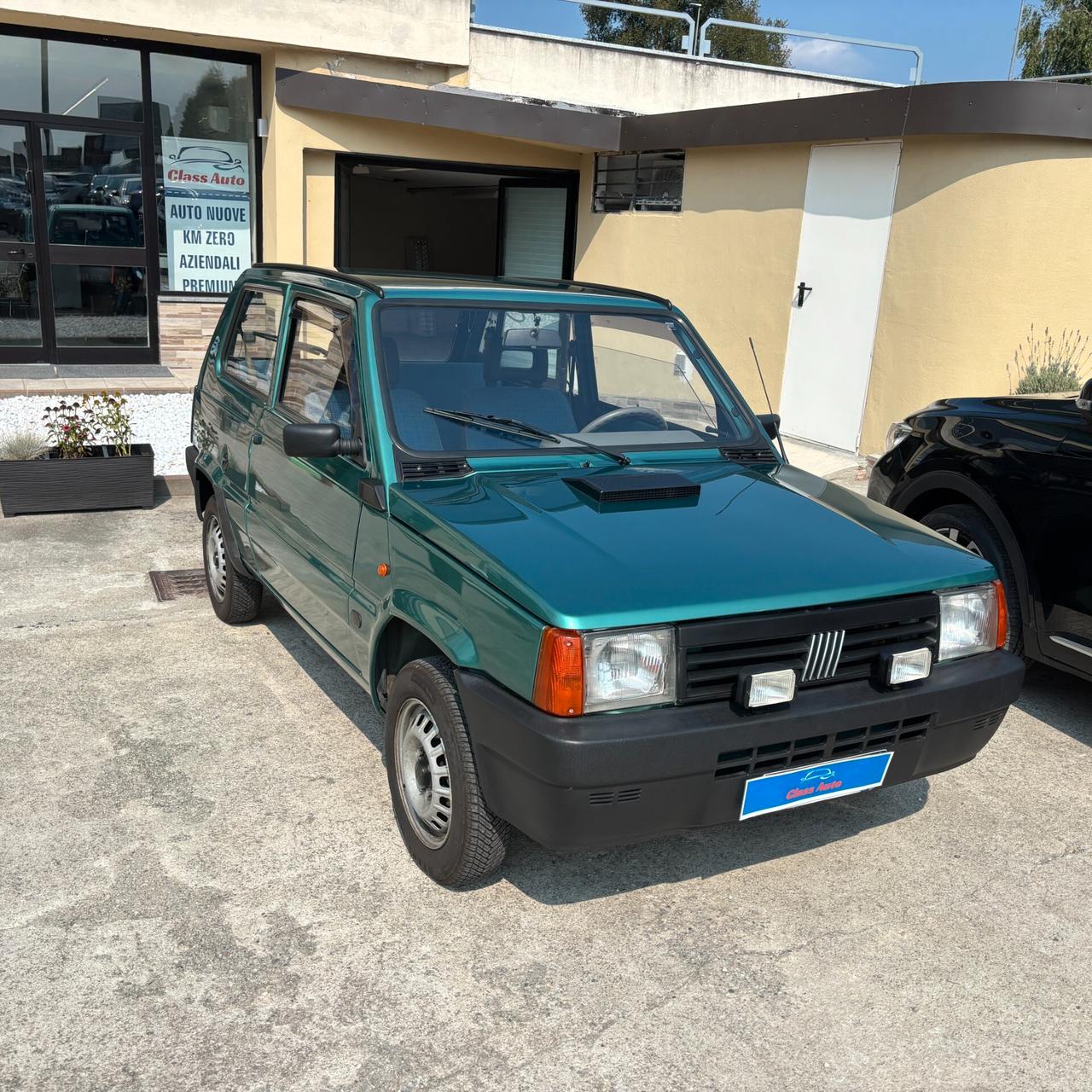 Fiat Panda 900 i.e. cat Young