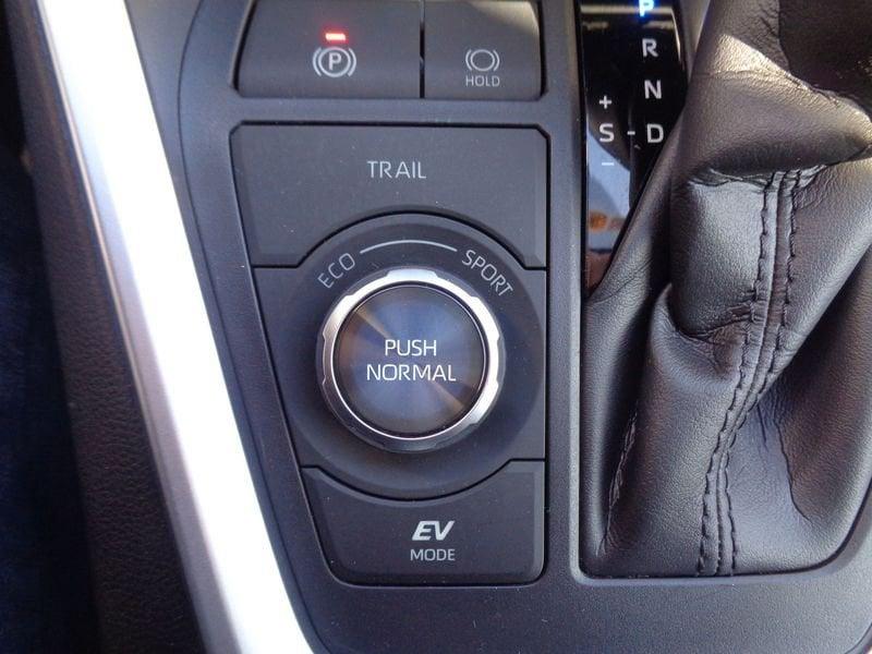 Toyota RAV4 Rav4 2.5 vvt-ie h Lounge awd-i 222cv e-cvt