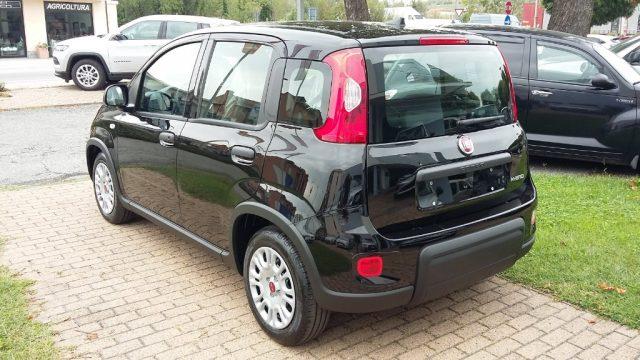 FIAT Panda 1.0 FireFly S&S Hybrid GRIGIO MAESTRO