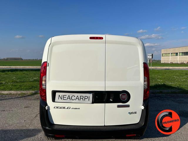 FIAT Doblo MAXI 1.4 N.P(PL-TN)COVER HACCP PANE/ALIMENTI-