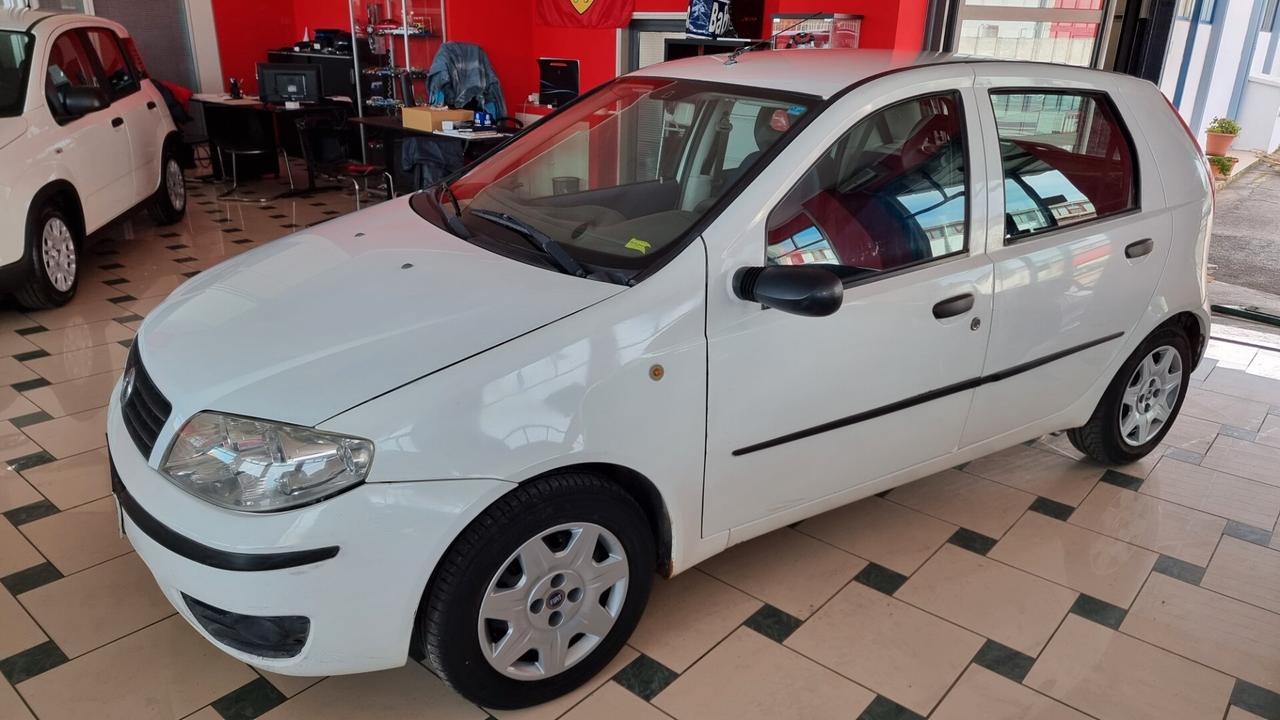 Fiat Punto 1.3 Multijet 16V 5 porte Active