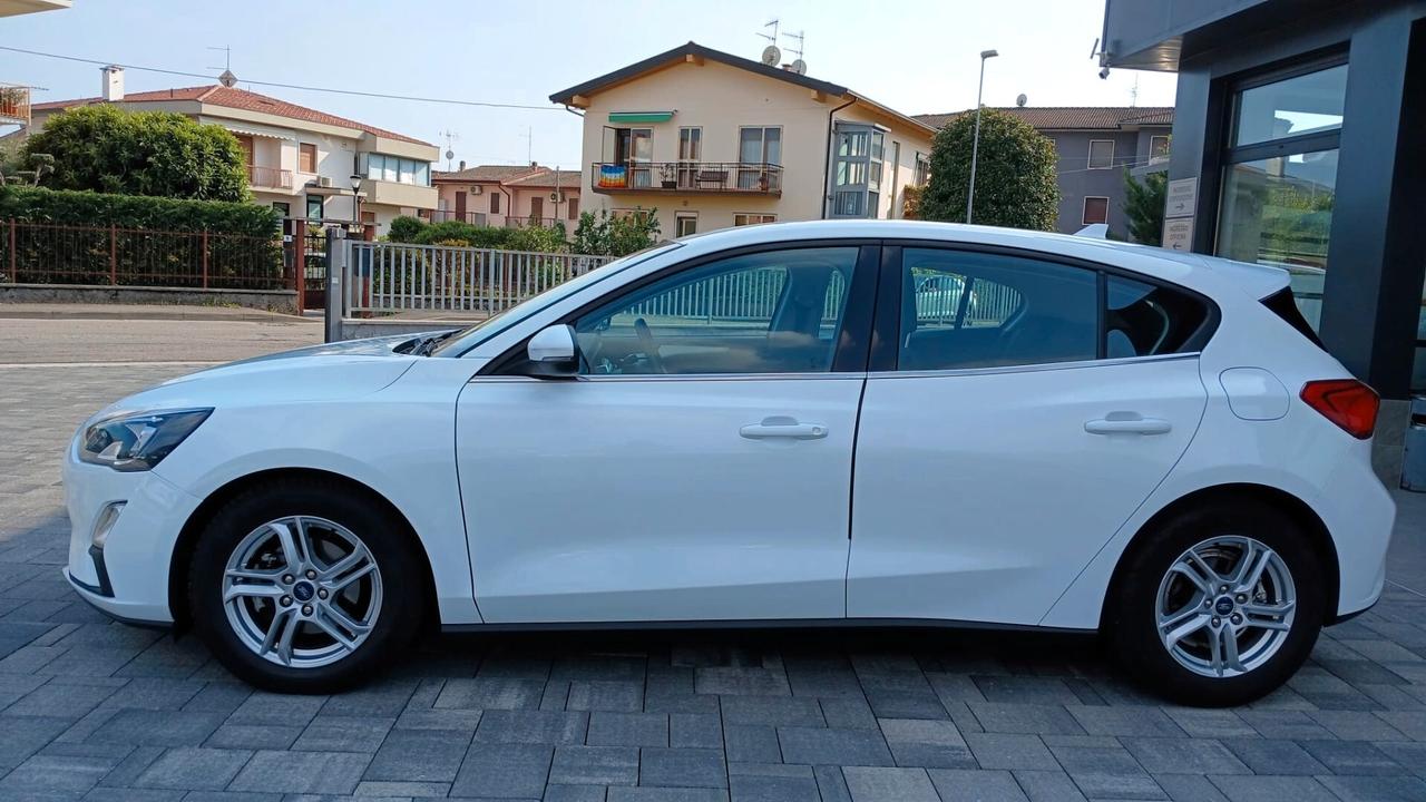 Ford Focus 1.5 EcoBlue 120 CV automatico 5p. Business Co-Pilot