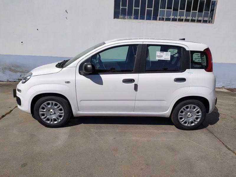 FIAT Pandina 65 Pandina hybrid Icon Promo CBC 5