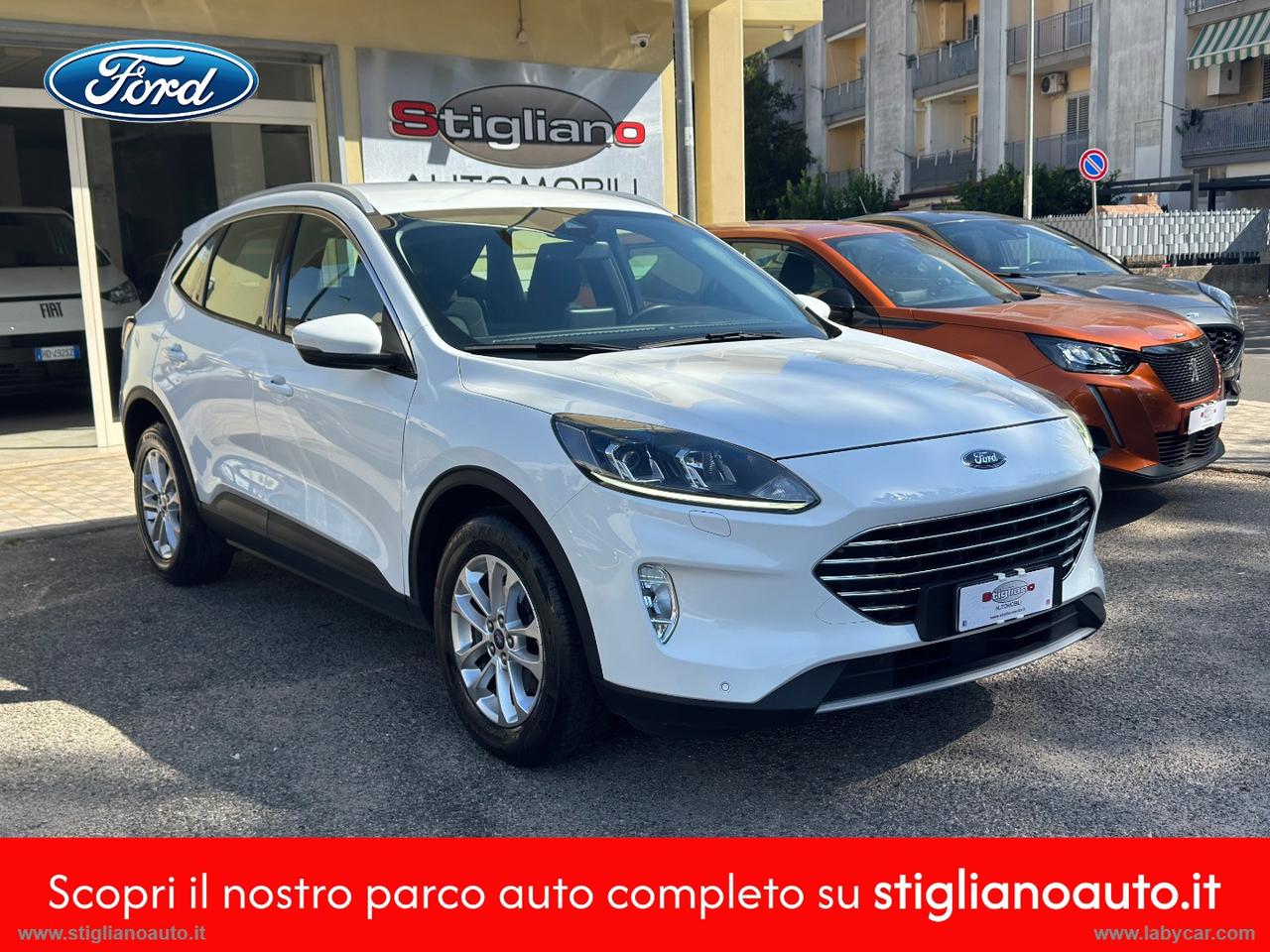 FORD Kuga 1.5 EcoBlue 120 CV aut. 2WD Tit.