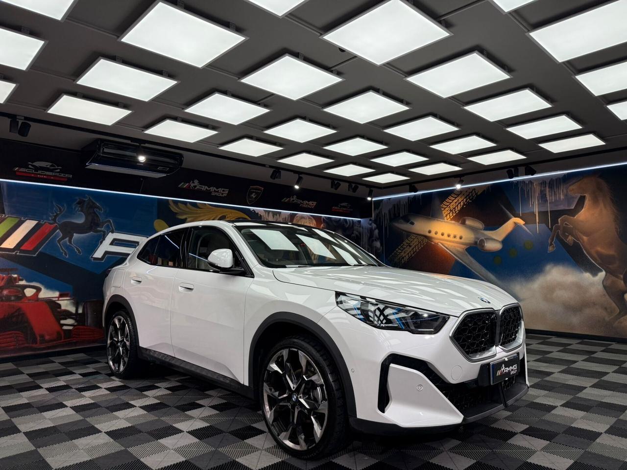Bmw X2 xDrive 20d MSport (192)