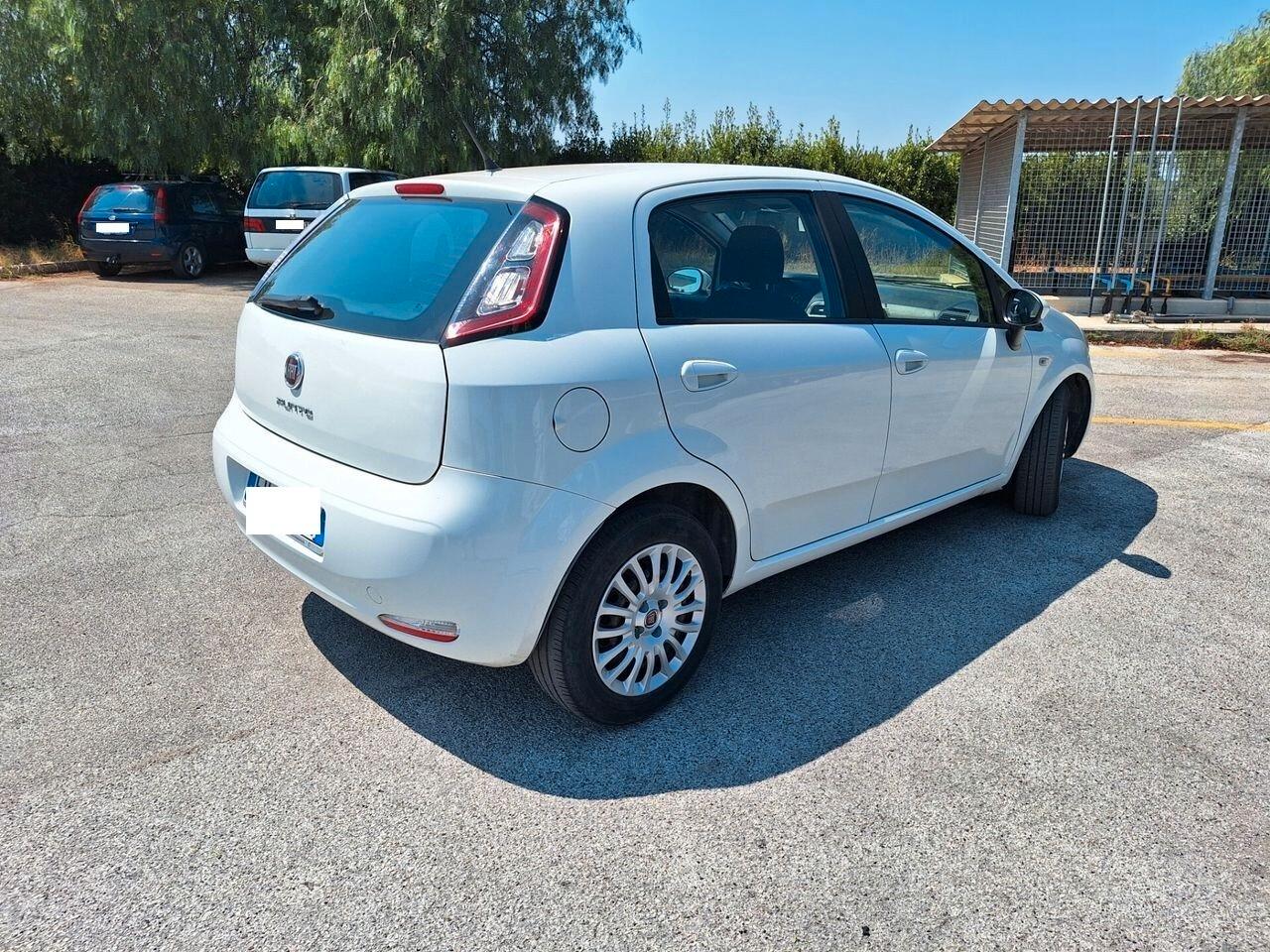 Fiat Punto 1.2 8V 5 porte Street ok neo patentati