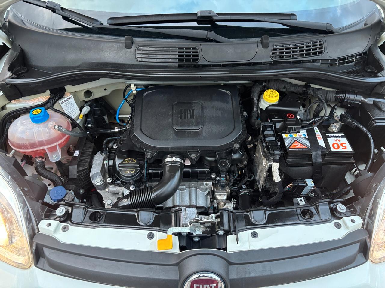 Fiat Panda 1.0 FireFly S&S Hybrid City Life-2021