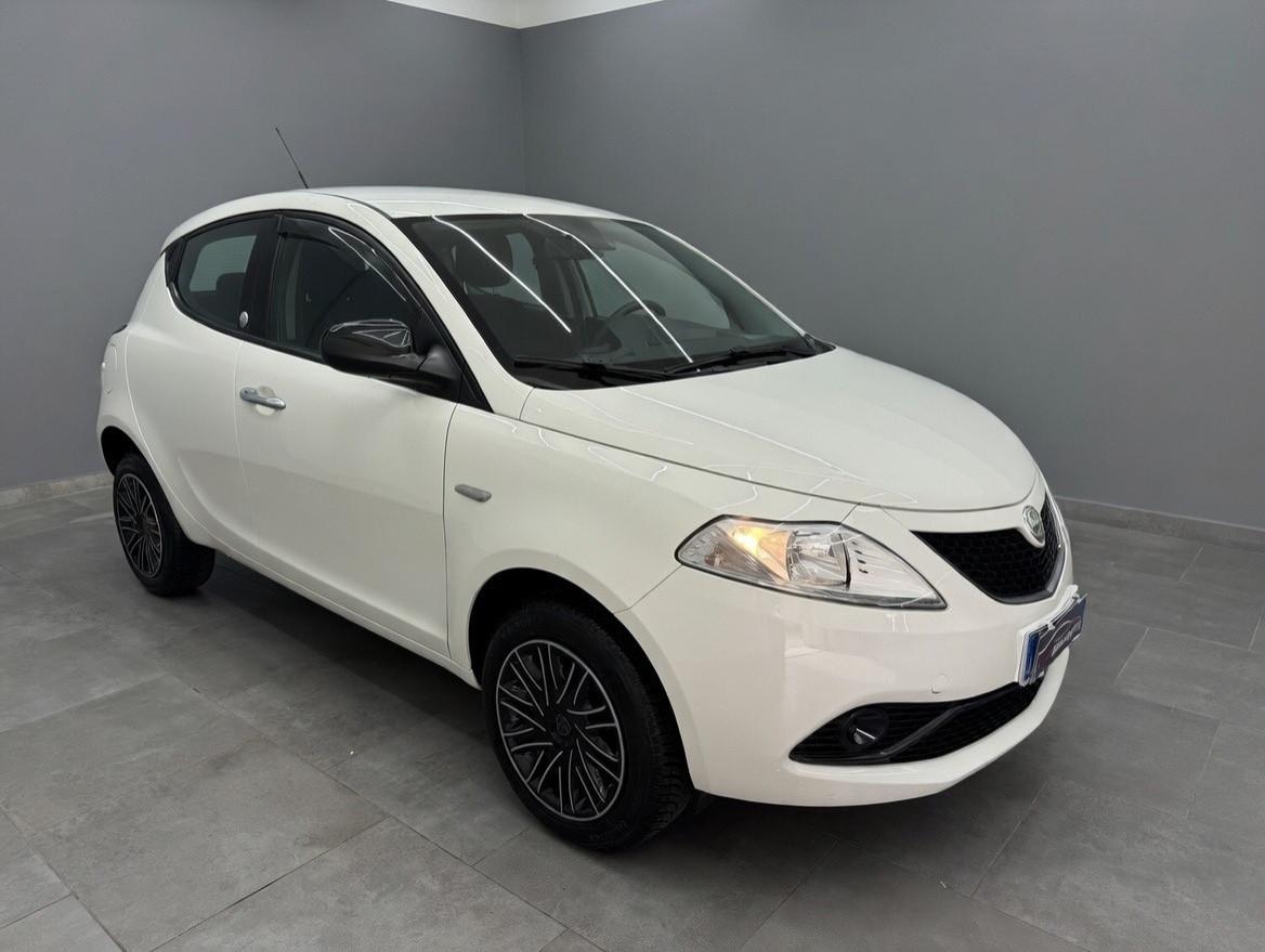 Lancia Ypsilon 0.9 TwinAir Ecochic Gold 2019