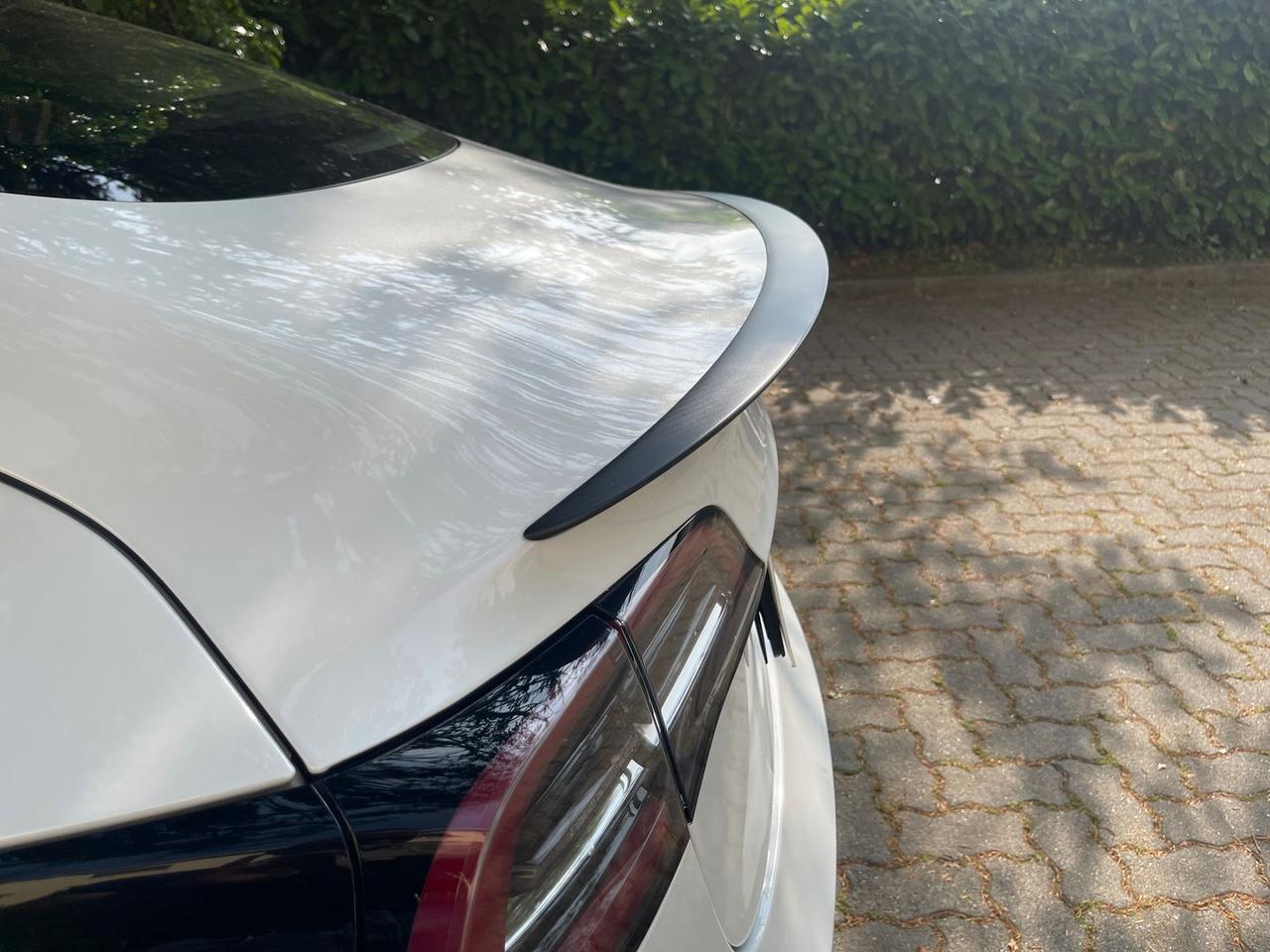 Tesla Model 3 Long Range Performance Dual Motor #5798