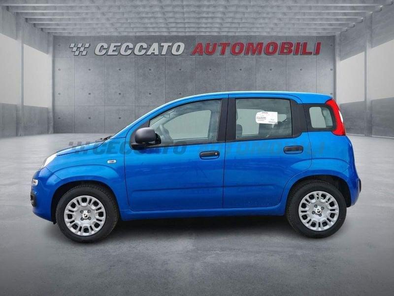 FIAT Panda Panda 1.0 firefly hybrid s&s 70cv