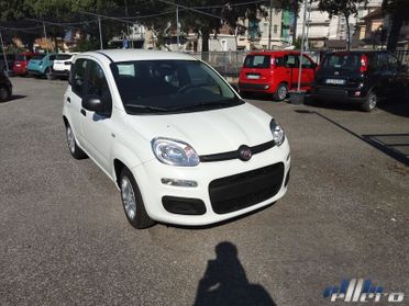 FIAT Panda MY25 1.0 70cv Hybrid