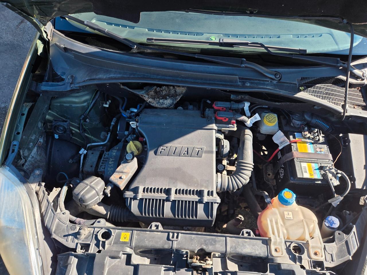 Fiat Grande Punto 1.4 Starjet 16V 5 porte Dynamic