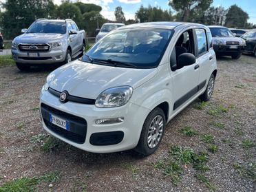 Fiat Panda 1.2 Easy *UNICO PROPRIETARIO*SOLO 7800KM*