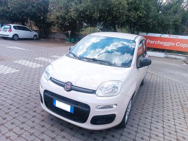 Fiat Panda 1.2 Easy PERFETTA