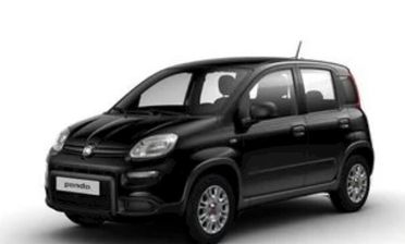 Fiat Panda 1.0 FireFly S&S Hybrid NUOVA PRONTA CONSEGNA