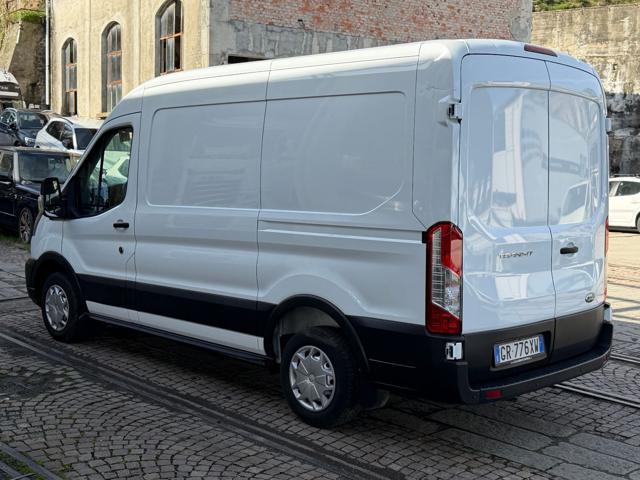 FORD Transit 290 2.0TDCi EcoBlue 130CV PM-TM Furgone ISOTERMICO