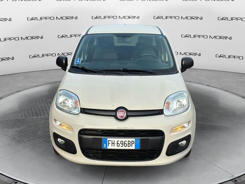 FIAT Panda Panda 1.2 Easy easypower Gpl 69cv